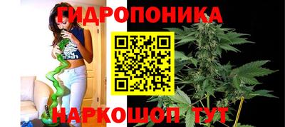 крисы Краснодар